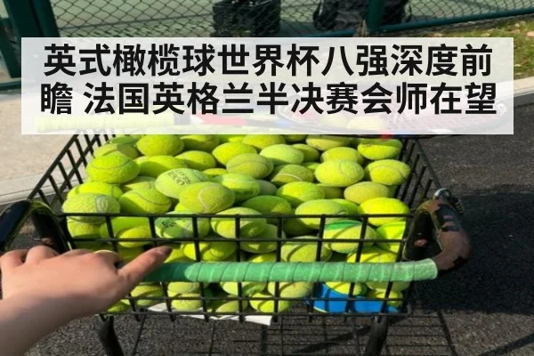 英式橄榄球世界杯八强深度前瞻 法国英格兰半决赛会师在望